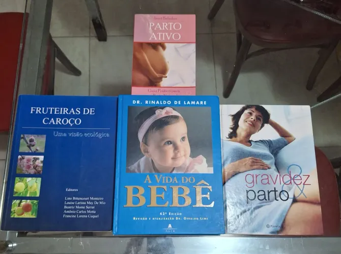 Livros de maternidade e cuidados de bebê 
