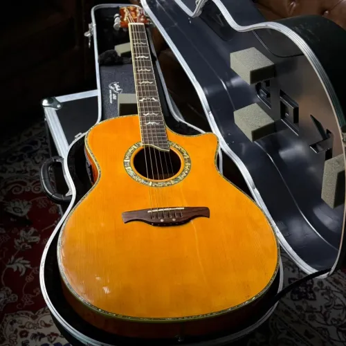 Crafter GAE 1990 Raro!