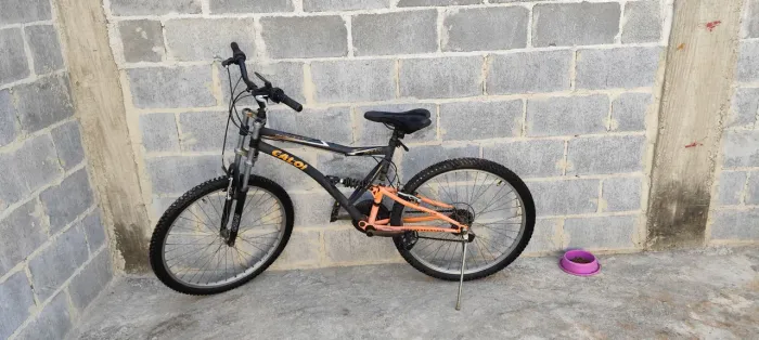 Bicicleta de marcha 