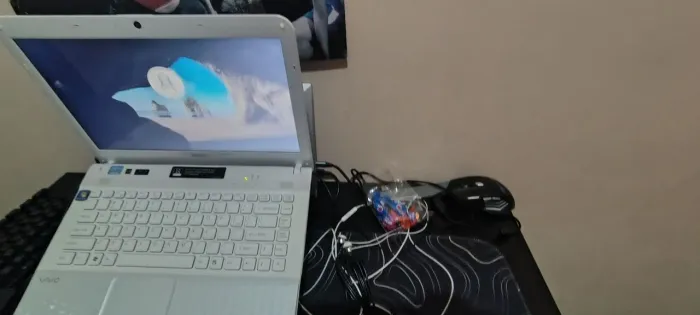 Notebook sony