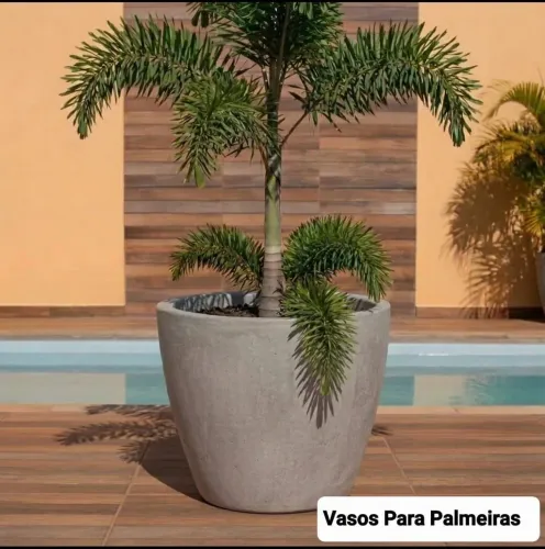 Vasos  jarros caqueira para palmeiras e frutíferas 