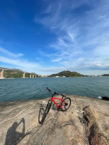 Bike aro 29 sense