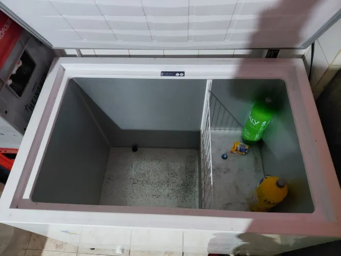 Freezer Electrolux