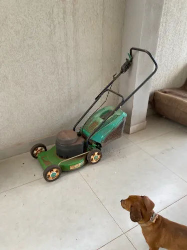 Cortador de grama com coletor