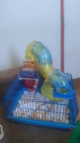 Vende-se gaiola de hamster 