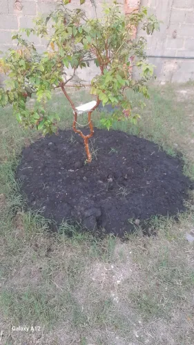 Fertilizantes extremamente rico em minerais