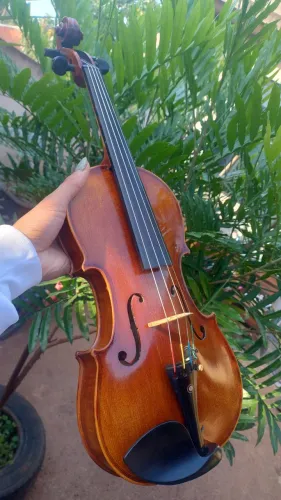Violino Eagle VK 644 ajustado 