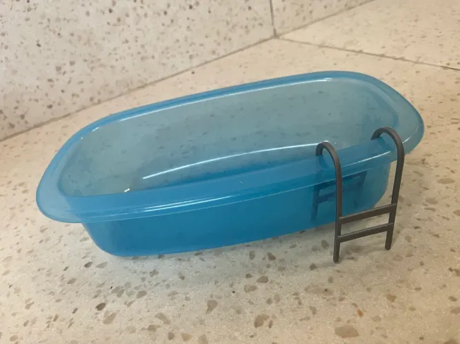 Piscina Azul De Plástico Com Escadinha