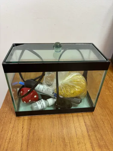 Aquário 3 litros para Beta com acessórios