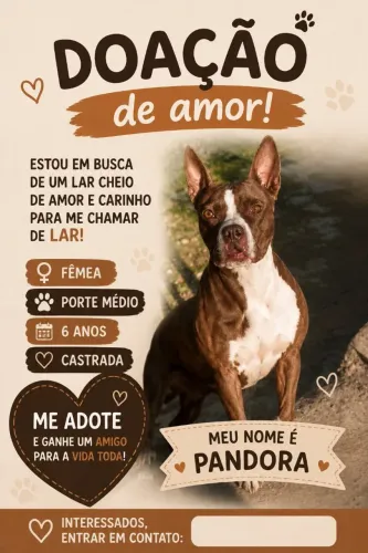 Doação motivo indo embora do estado