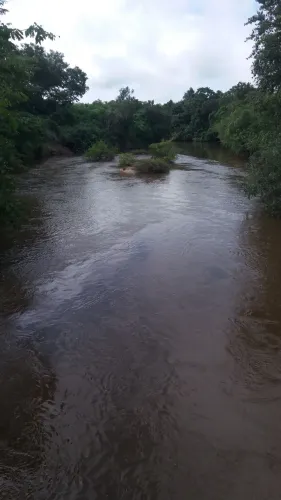 Vende Fazenda mun.Rio Sono To 167 km de Palmas