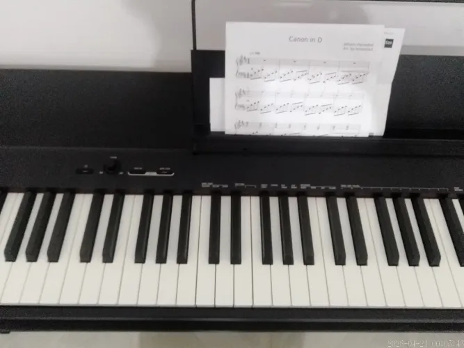 Piano Digital Casio Cdp-S110 88 teclas Pesadas