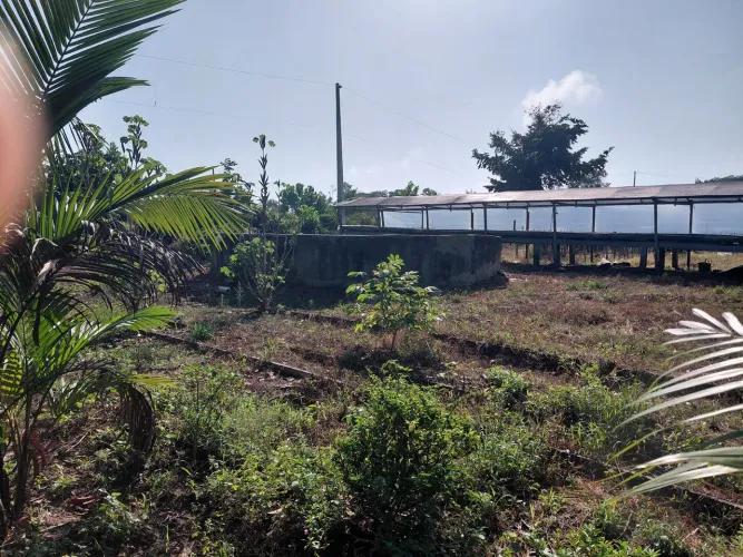 Terreno a venda
