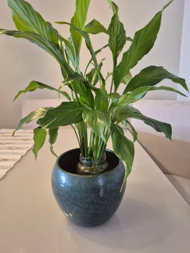 Vaso Cerâmico Verde