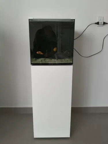 Aquário Marinho