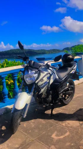 Fazer 250cc 2014 Blueflex