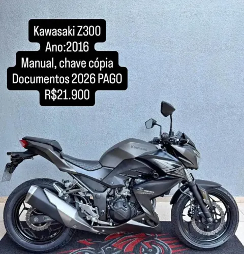 Z-300 Usada excelente estado