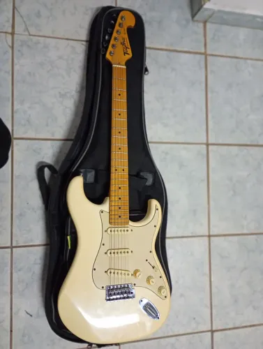 Guitarra Tagima TG530 Woodstock series