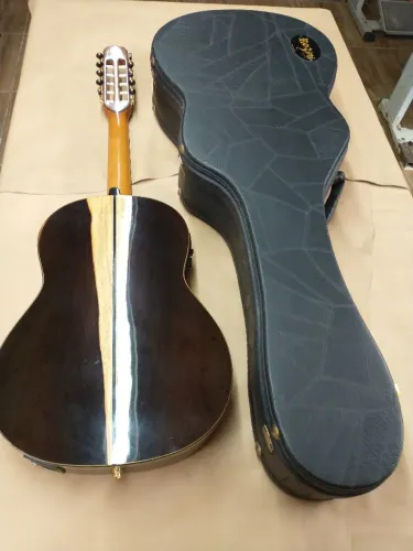 Viola caipira Rozini 113 concertista madeira maciça.