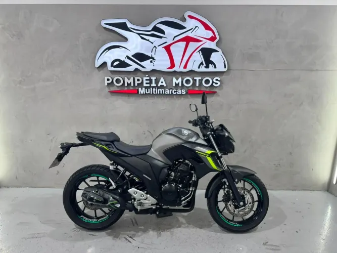 Yamaha Fz25 250 Fazer Flex 2024