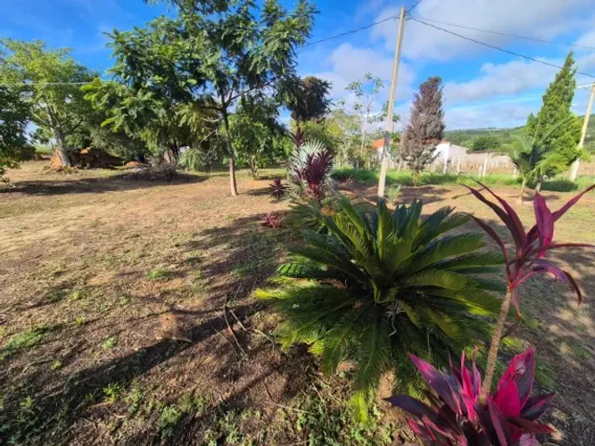 Rancho à venda - sonho da família - 11.700m2