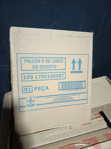 Falcon lobos do deserto