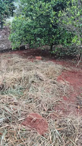 Terreno 1000 metros
