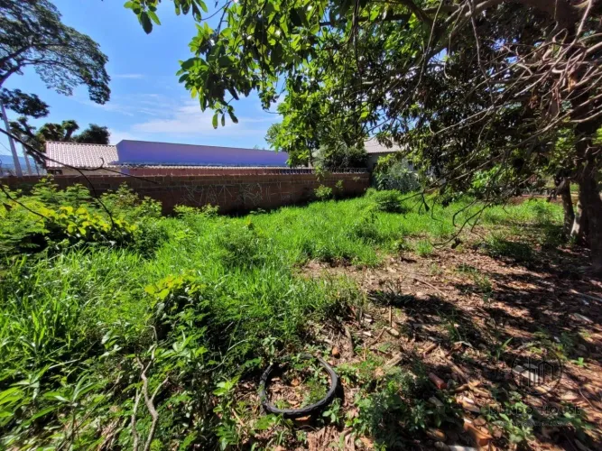 Terreno no Bom Jesus