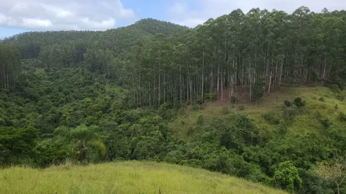 Fazenda de Eucaliptos 241,88 Alqueires ou 585,36 Hectares Aproveitamento: 145,90 Alqueires
