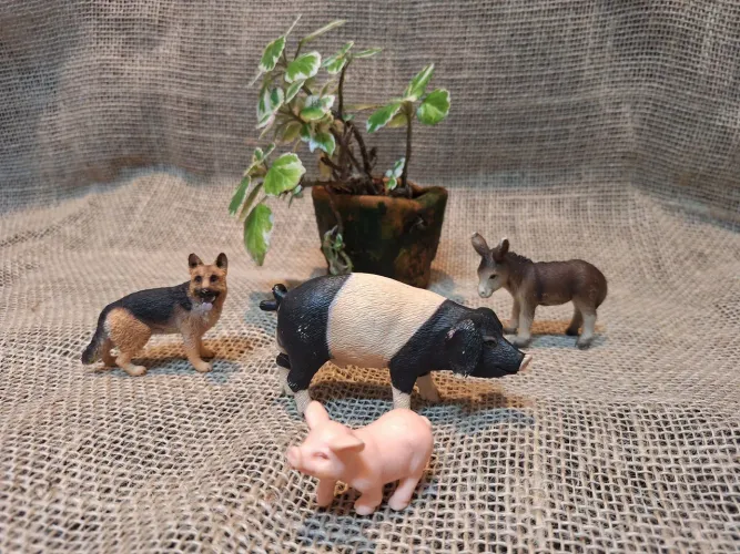 Brinquedo - Animais da fazenda - SCHLEICH