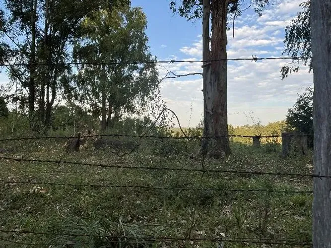 Oportunidade Única em ELDORADO DO SUL - RS | Tipo: Terreno | Negociação: Venda Direta Onli