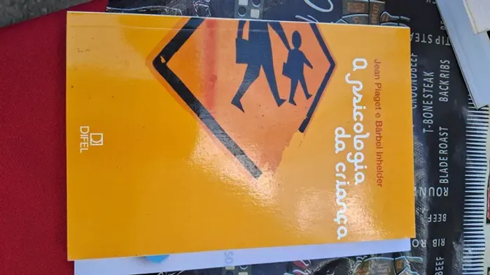 A psicólogia da Criança