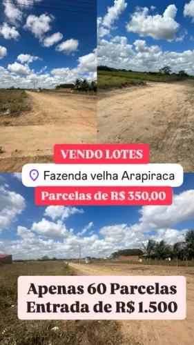 Lotes Depois da UFAL - Fazenda Velha Arapiraca