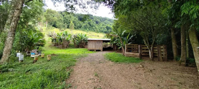 Sítio à venda - 6 hectares - Alto Rolantinho - Rolante/RS