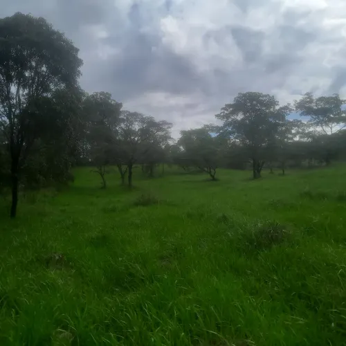 Terreno de 20 mil metros 