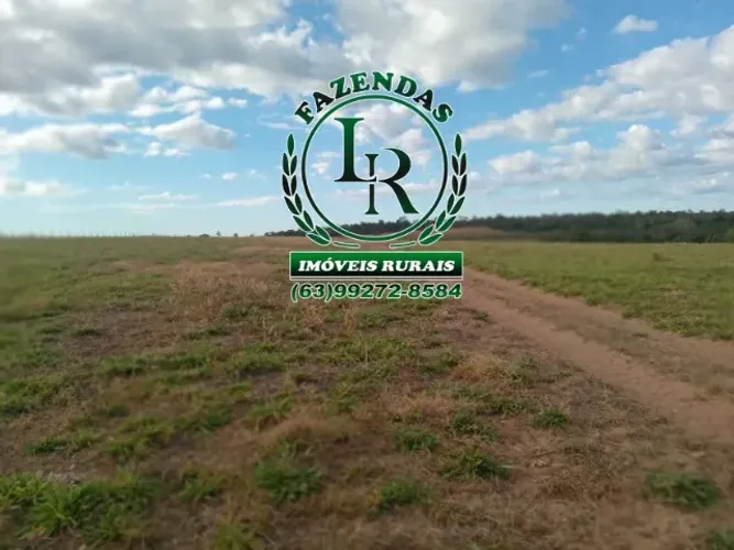 Fazenda de 114,46 Alqueires ou seja 554 hectares -Pedro Afonso Tocantins