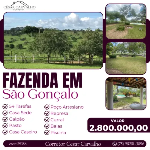 FAZENDA EM SÃO GONÇALO - 54 TAREFAS
