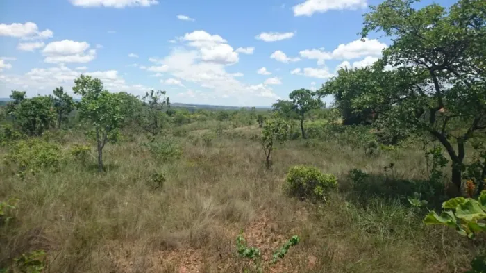 Chácara de 20.000m², plana a menos de 2.3 km da MG10, aceita carro como parte de pagamento