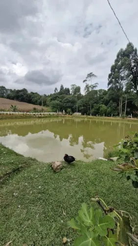 Chácara de 18.150 m²  Quitandinha (PR)