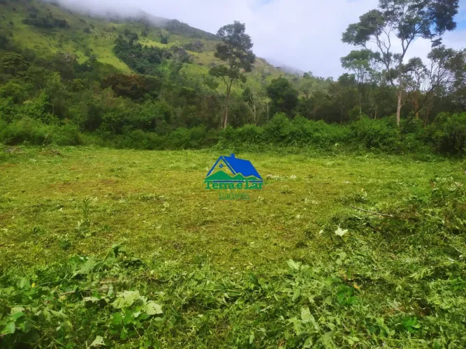Terreno com 4,6 hectares à venda - Bairro Nogueira, Aiuruoca/MG
