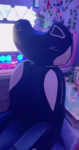 Cadeira Gamer DxRacer CAT (cabeça de gato)