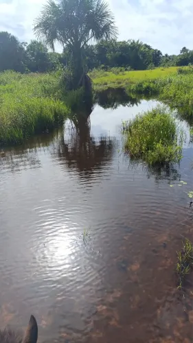 Fazenda próximo ao Alto Alegre