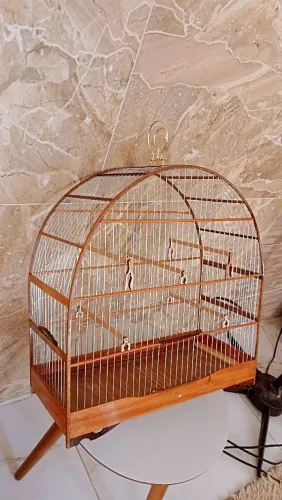 Gaiola super luxo tamanho 06 