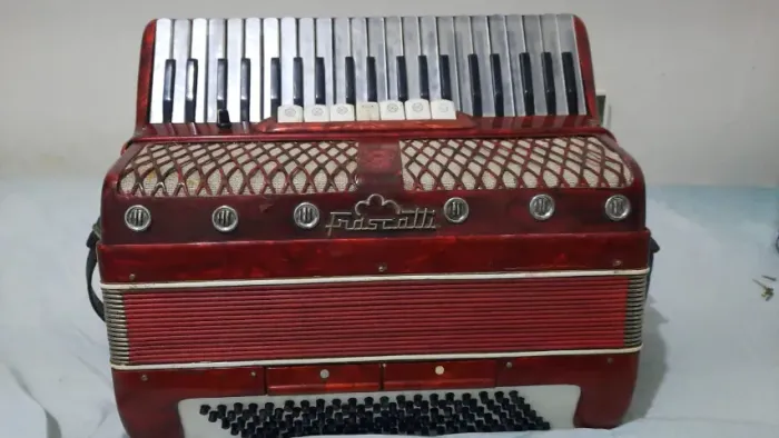 acordeon 120 baixos frascatti afinado,microfonado fole novo leia o anuncio