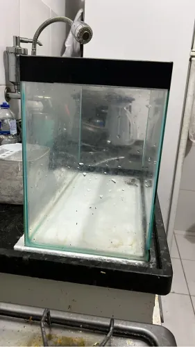 aquário completo, vai c bomba, luminária e decoração