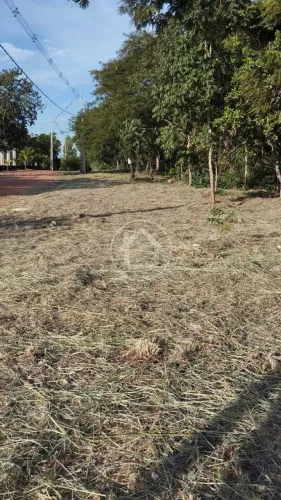 TERRENO DE 5025
