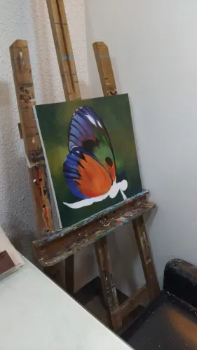 Quadro borboleta
