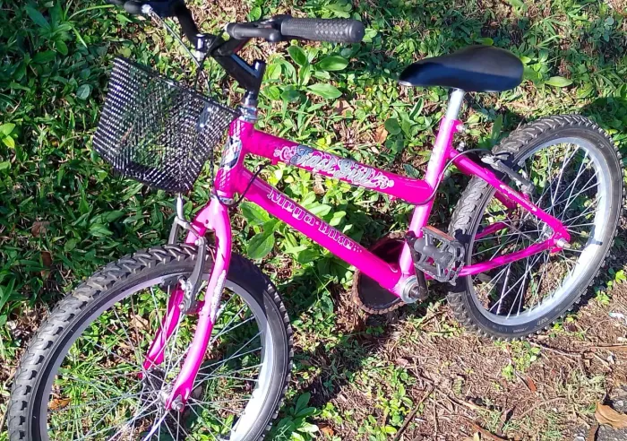 BICICLETA ARO 20 FEMININA * 275.00* 