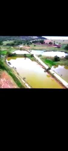 Fazenda 96 Alqueires, Rica em Água com 19 Tanques de Água, Planta entre 70% e 80%, Casa Se