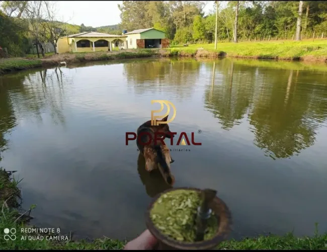 Sítio com piscina, fica um cavalo!